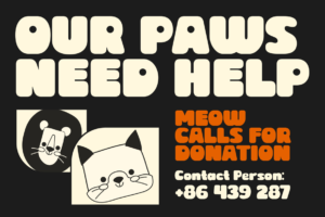 BIDUA Font cat rescue promotional poster