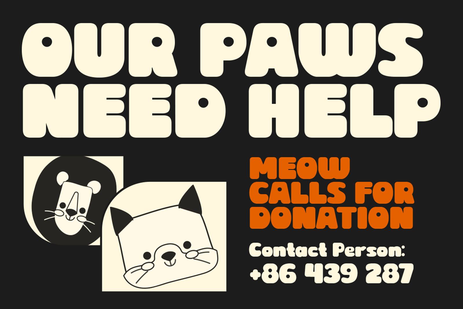 BIDUA Font cat rescue promotional poster