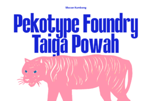 HAKOBI Font Taiga Powah tiger illustration branding