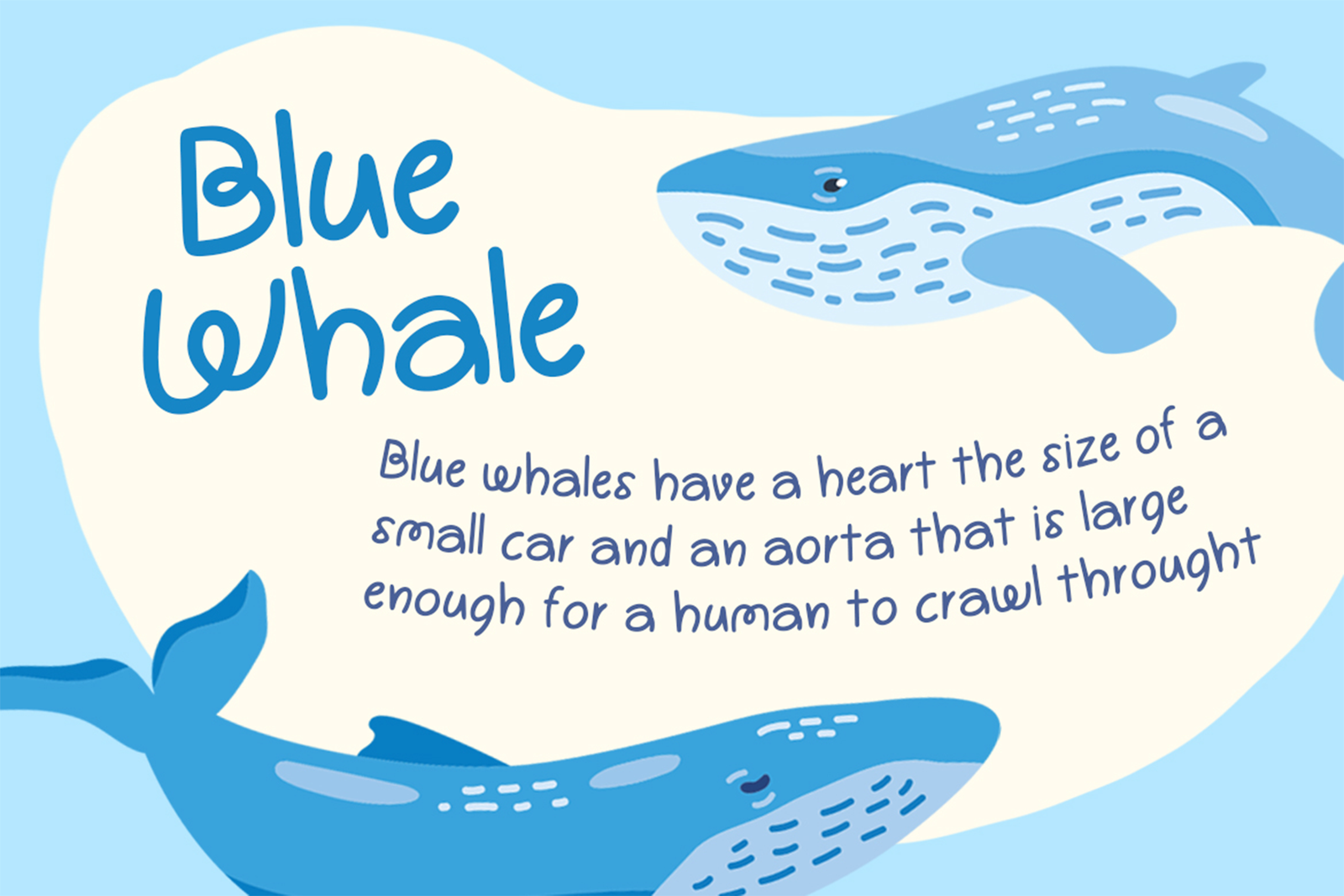 DYOLANAN Font blue whale educational illustration