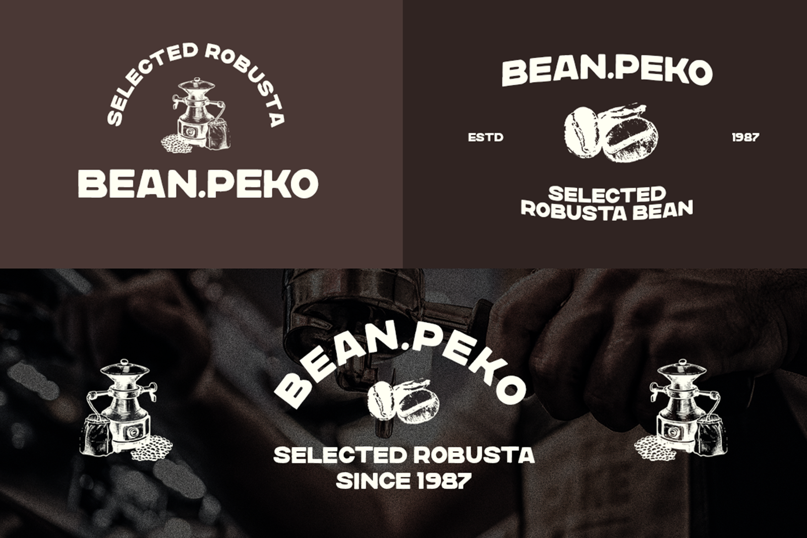 DAILY BREW Font coffee bean logo concepts