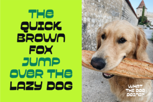 Garpit Font Pangram typography with dog photo