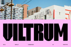 viltrum font cover