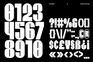 Viltrum numbers and punctuation character specimen