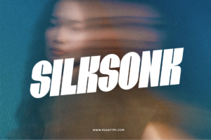 Viltrum Silksong bold typography presentation