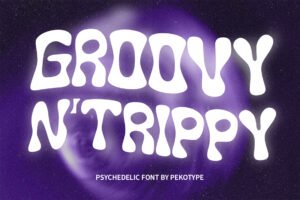 Funky Winky Font groovy retro typography showcase